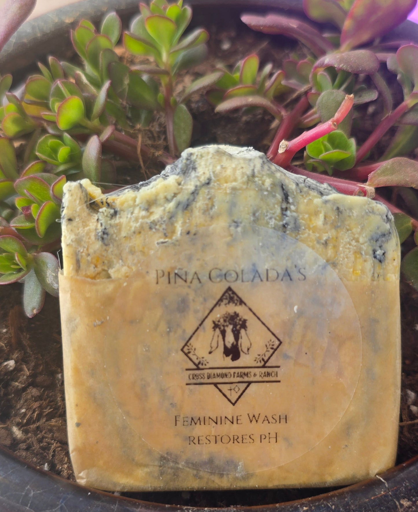 Pina Colada’s Feminine Wash