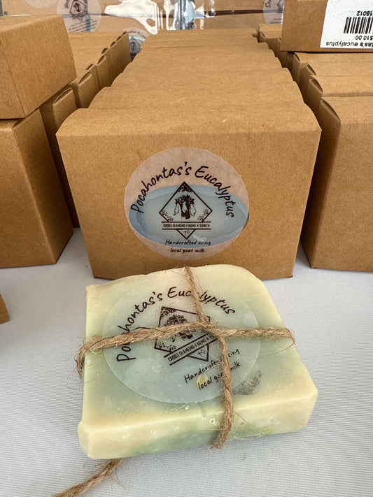 Pocahontas’s Eucalyptus