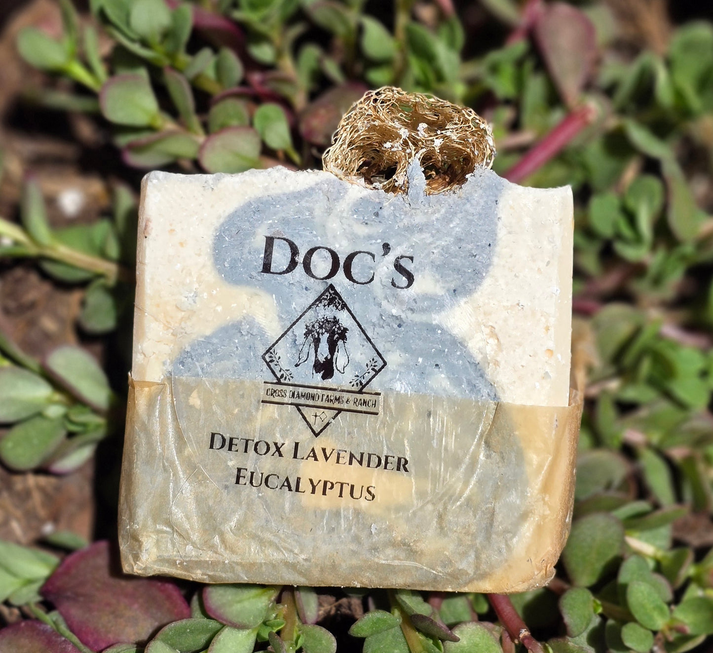 Doc’s Detox