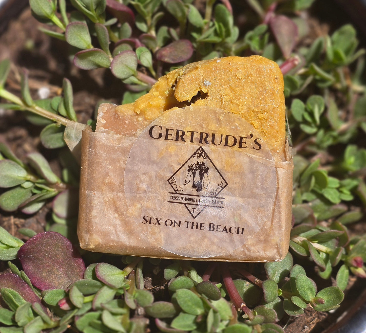 Gertrude’s Sex on the Beach Body Bar