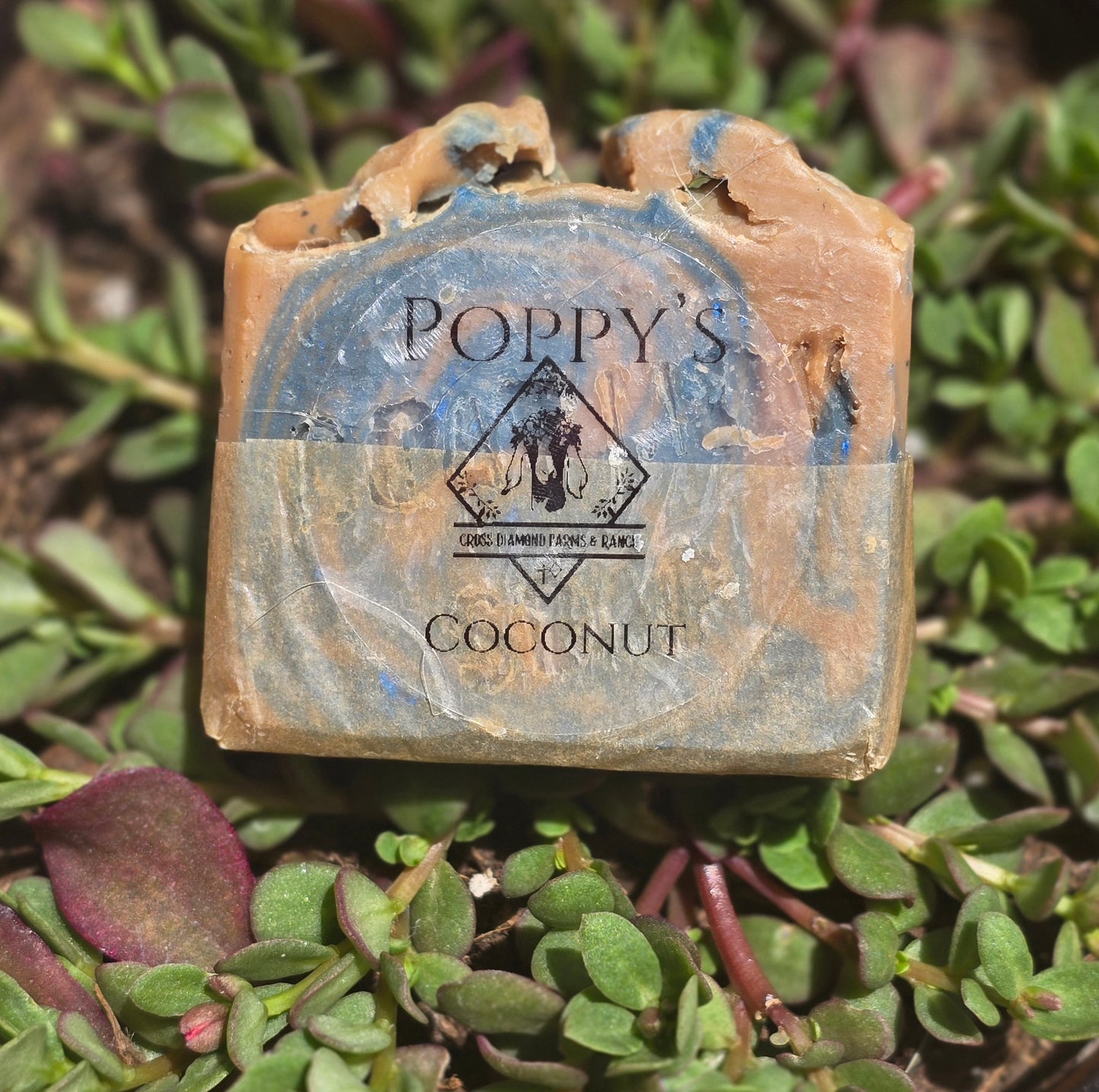 Poppy's Coconut