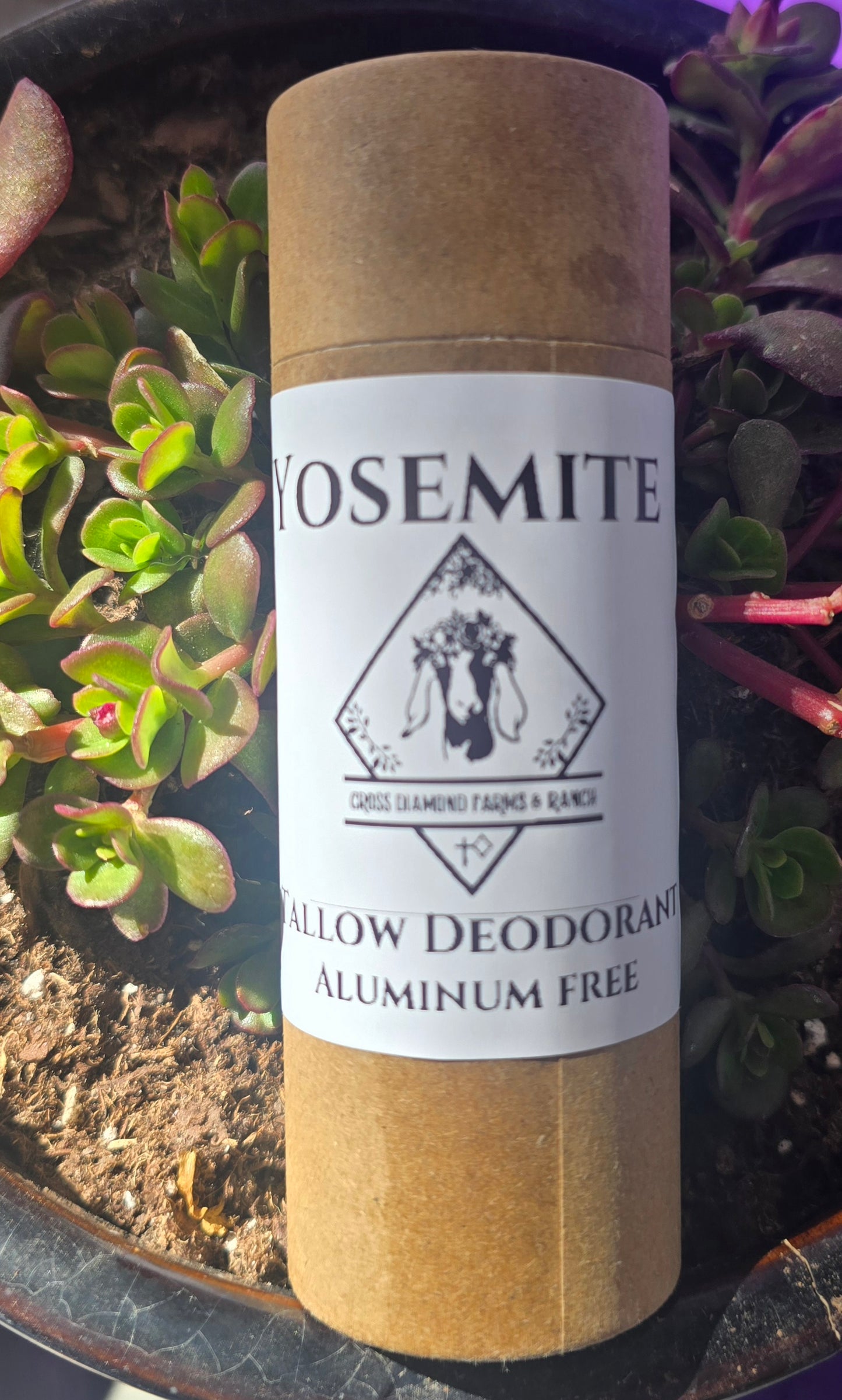Tallow Deodorant
