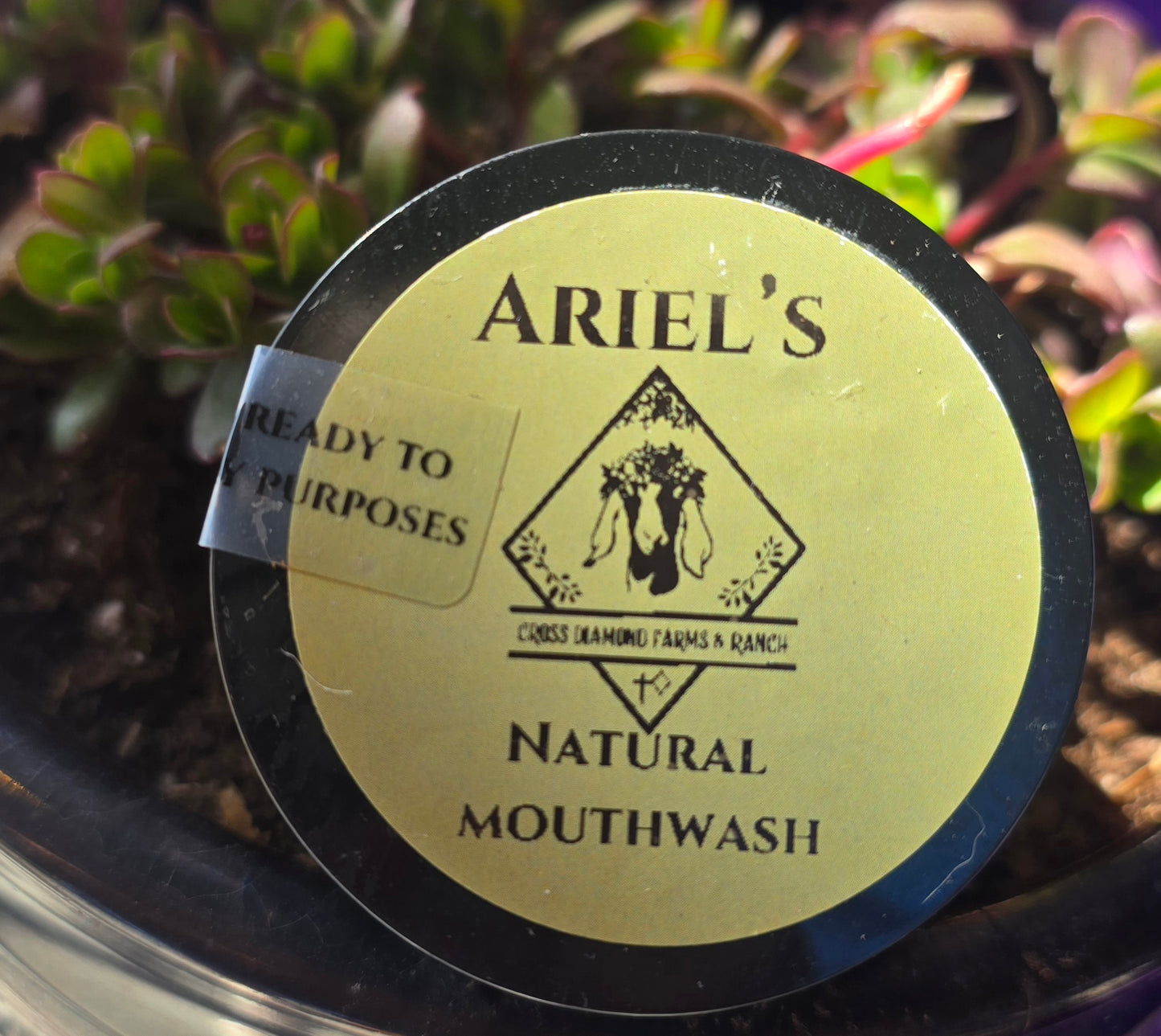 Ariel’s Mouthwash