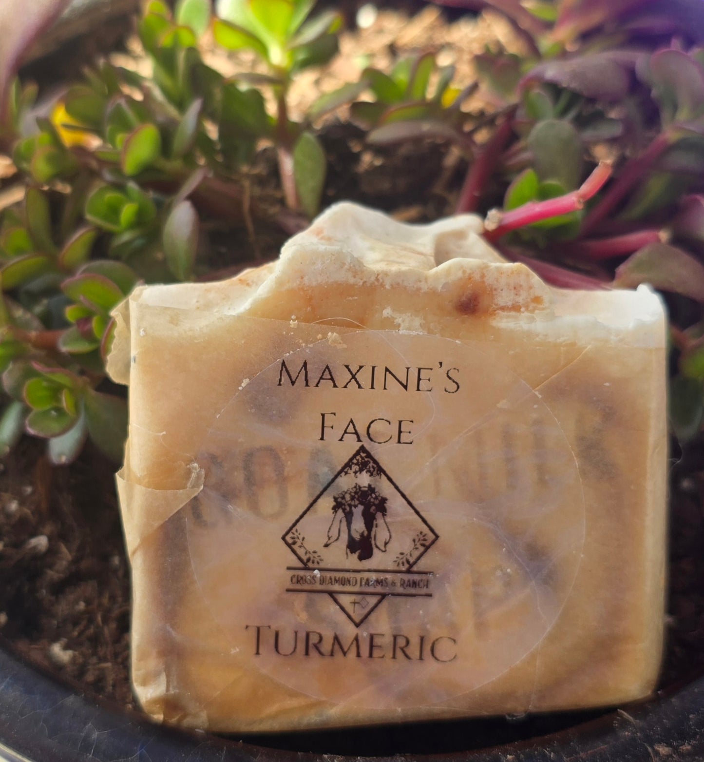 Maxine's Turmeric Face Bar