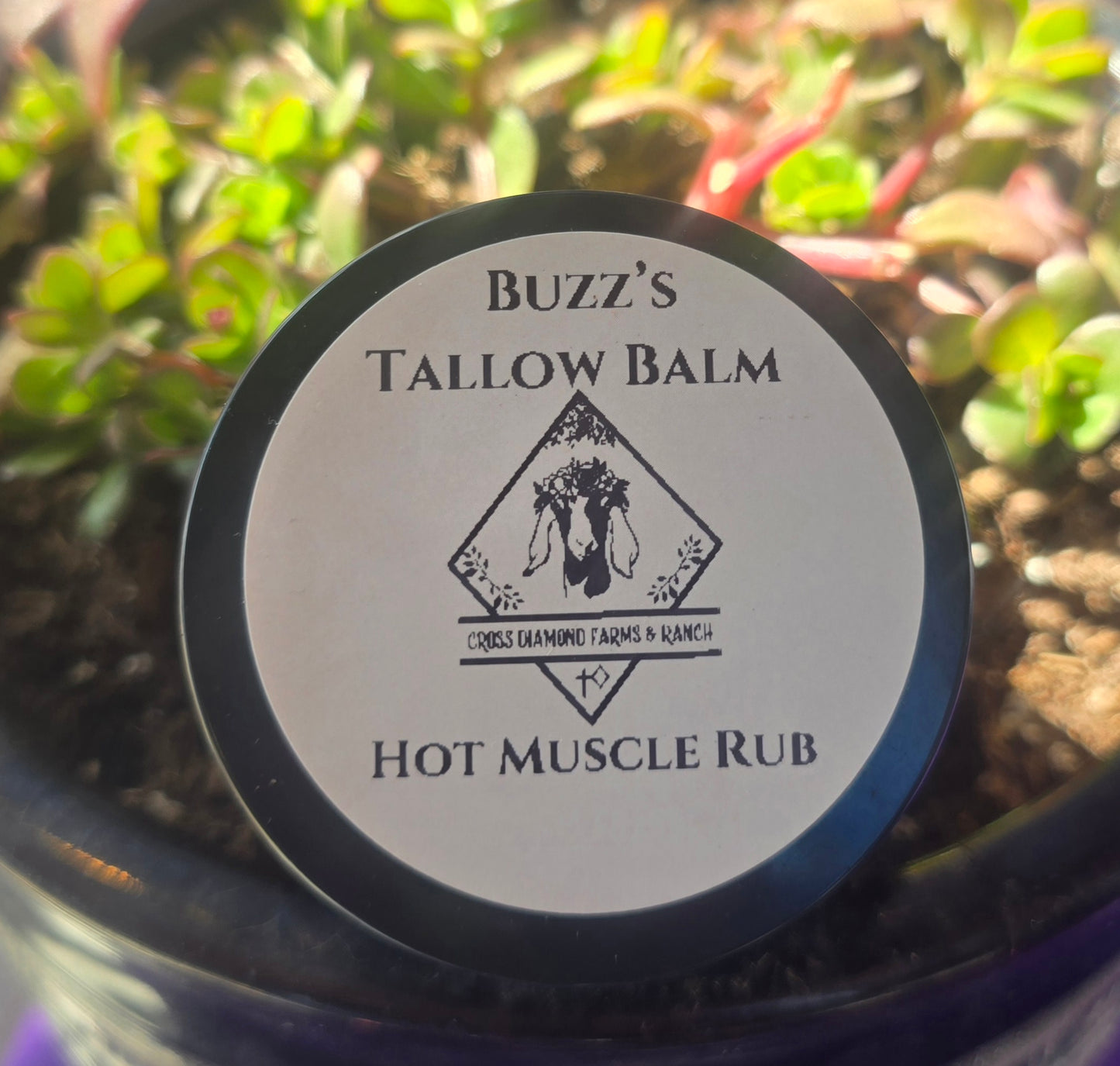 Buzz's Hot Tallow Muscle Rub