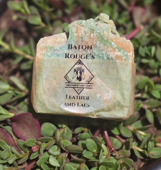 Baton Rouge's  Leather and Lace Body Bar