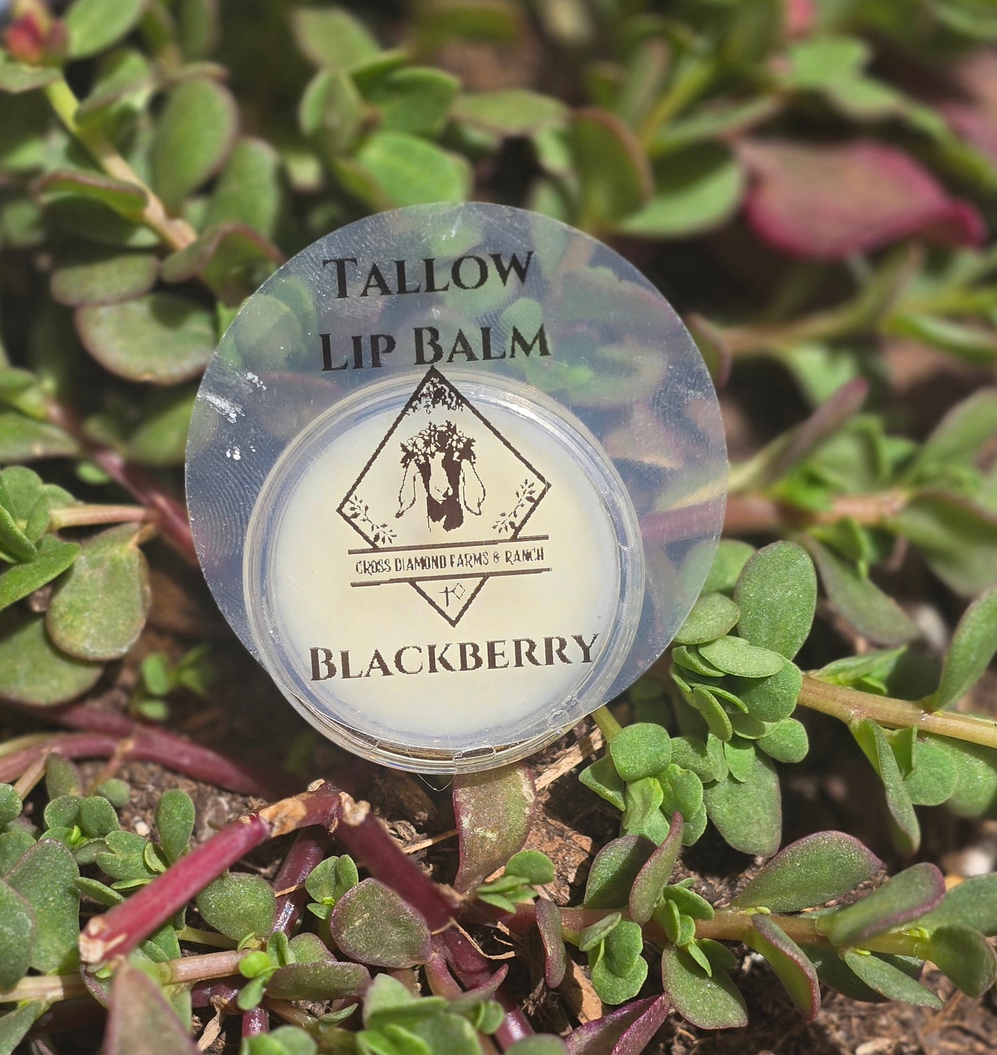 Tallow Lip Balm