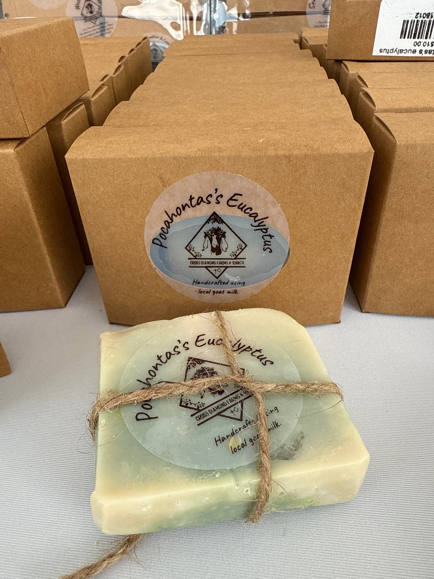 Pocahontas’s Eucalyptus