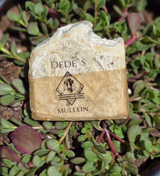 Dede's Mullein