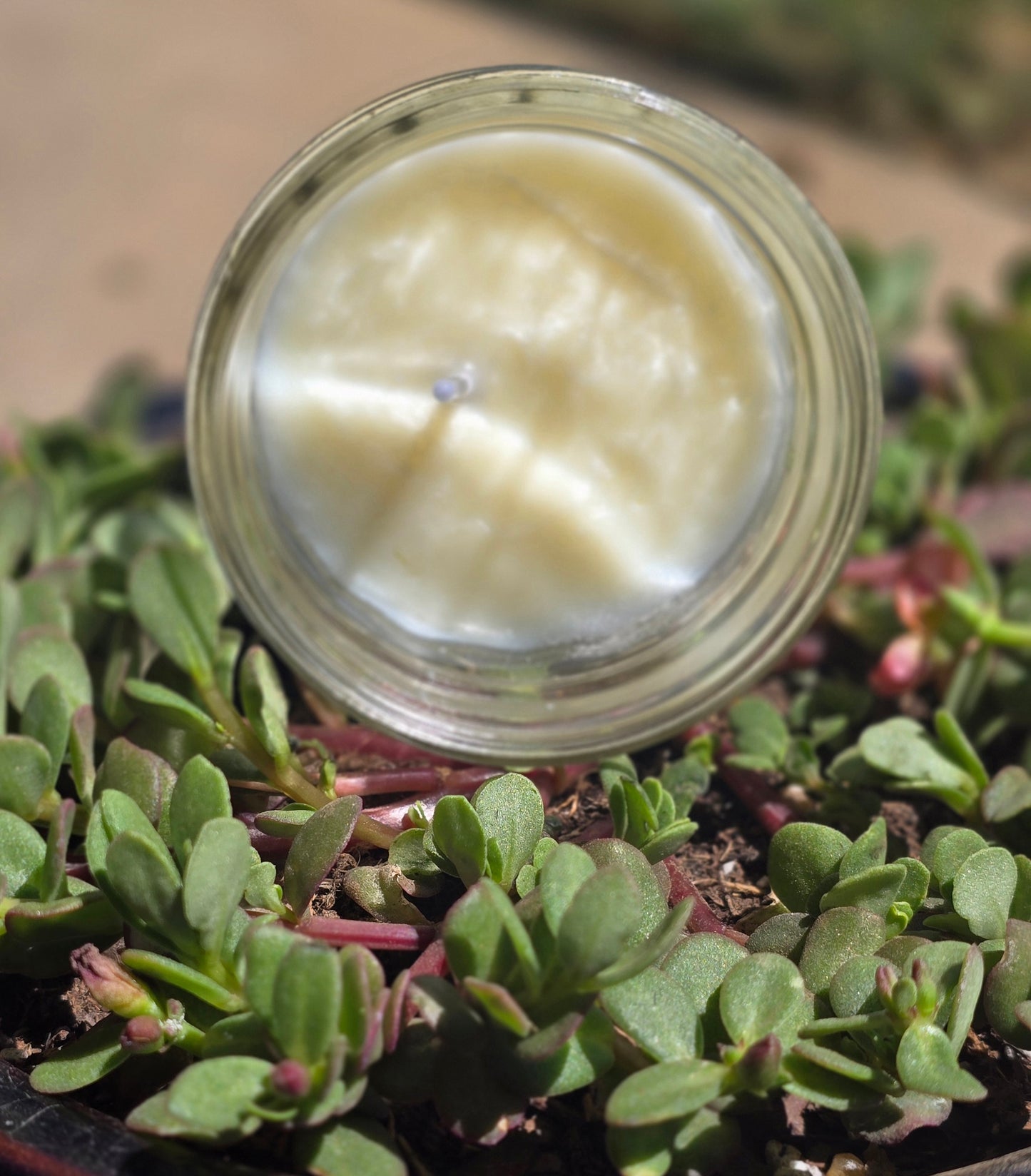 Derringer's Warming tallow candle large
