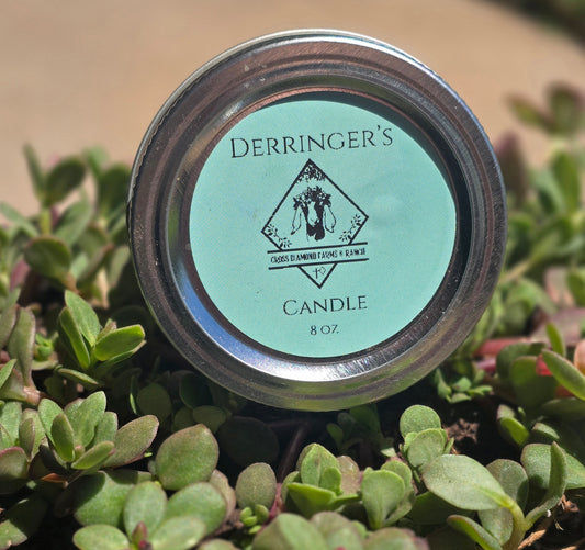 Derringer's Warming tallow candle large