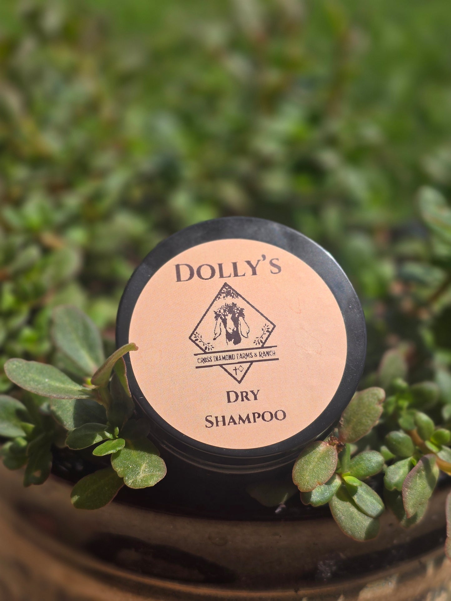 Dolly's Dry Shampoo