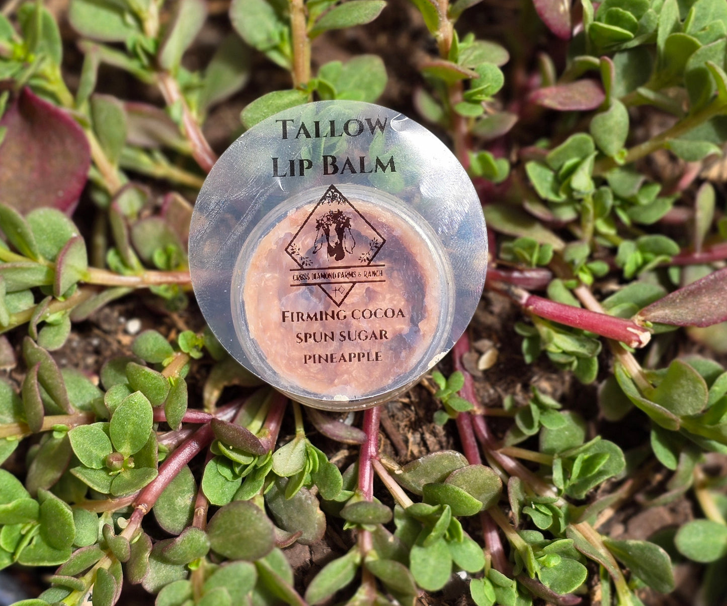 Tallow Lip Balm