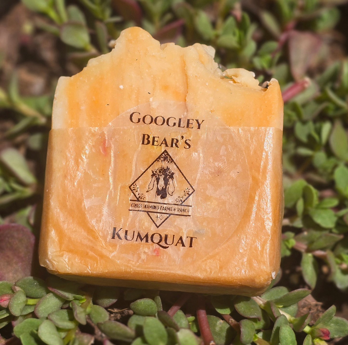 Googley Bears Kumquat