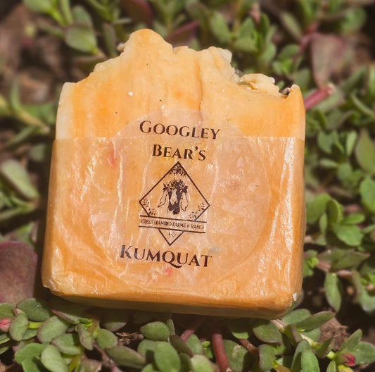 Googley Bears Kumquat