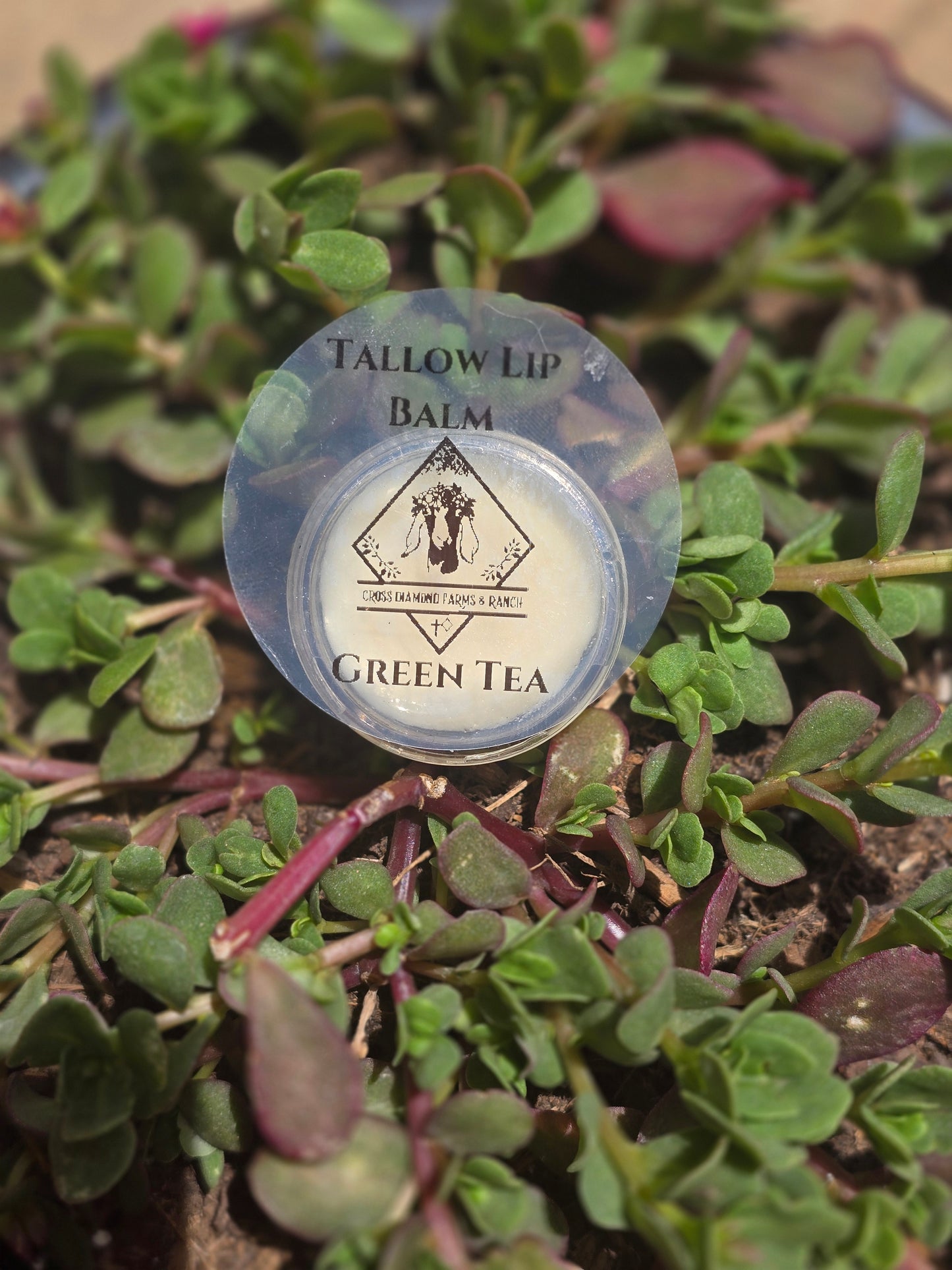 Tallow Lip Balm