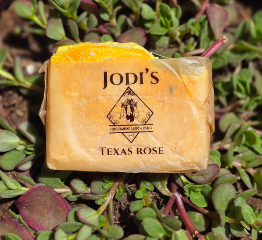 Jodi