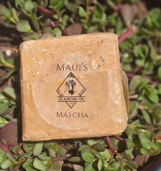Maui's Body Bar