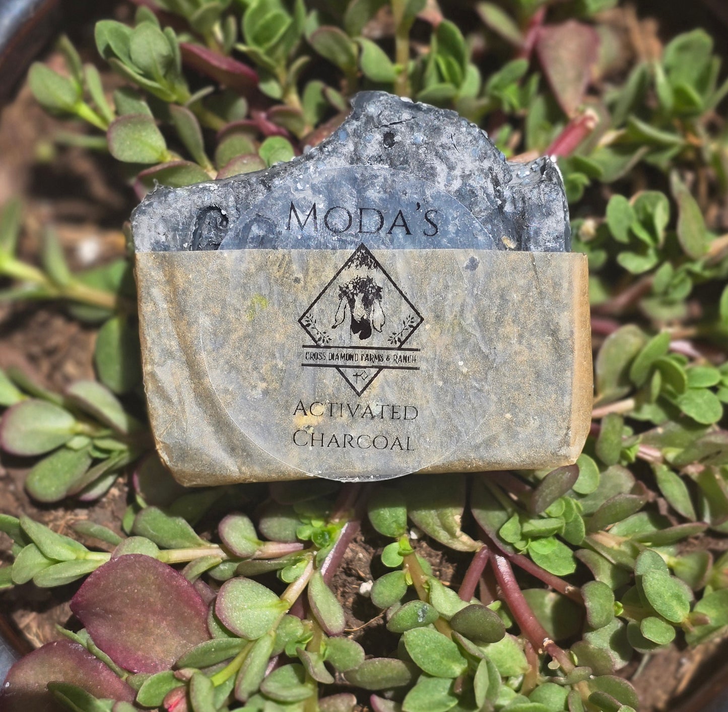 Moda's Activated Charcoal