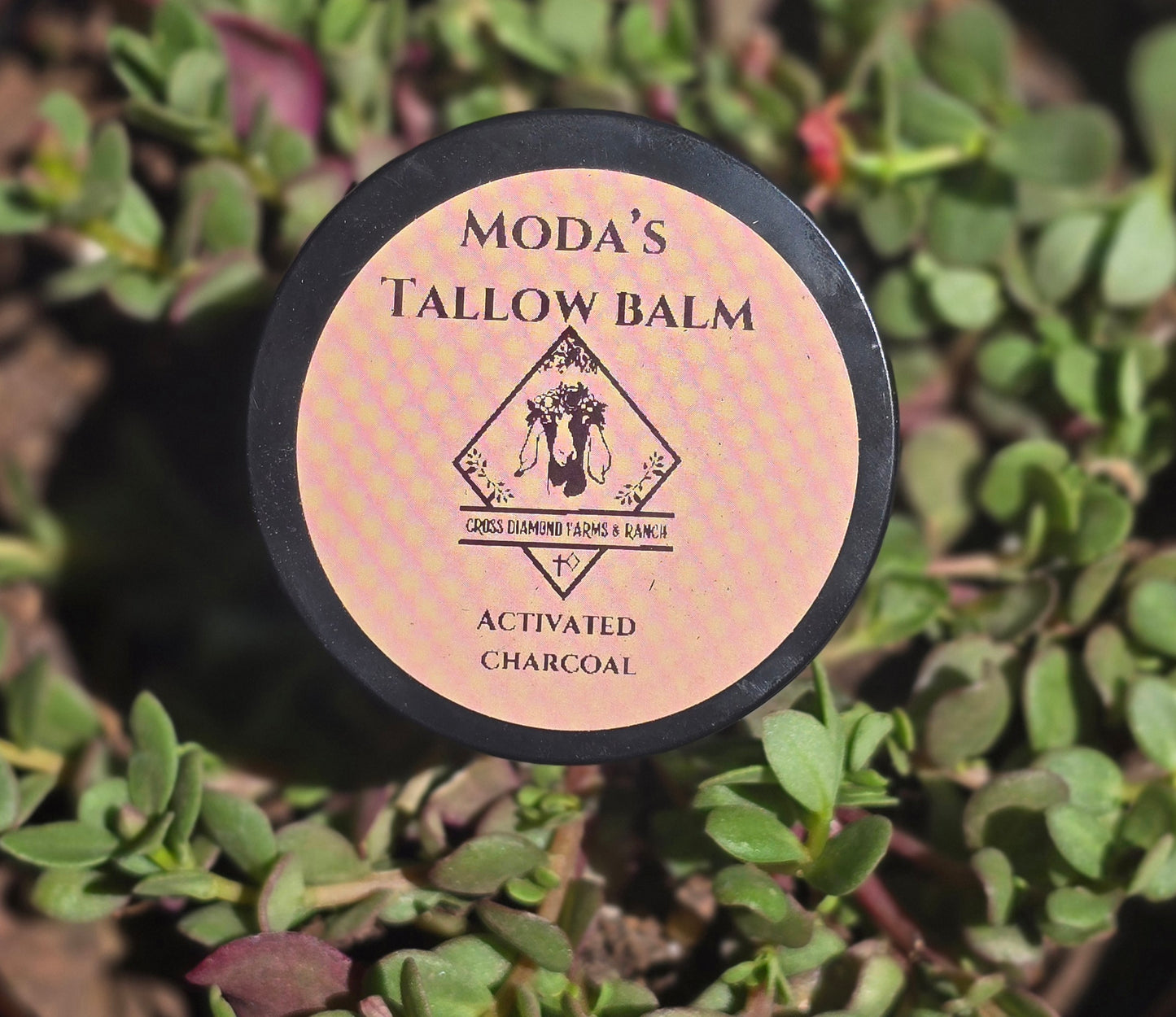 Moda's Tallow Drawing Salve