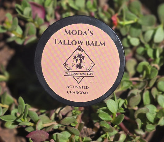 Moda's Tallow Drawing Salve