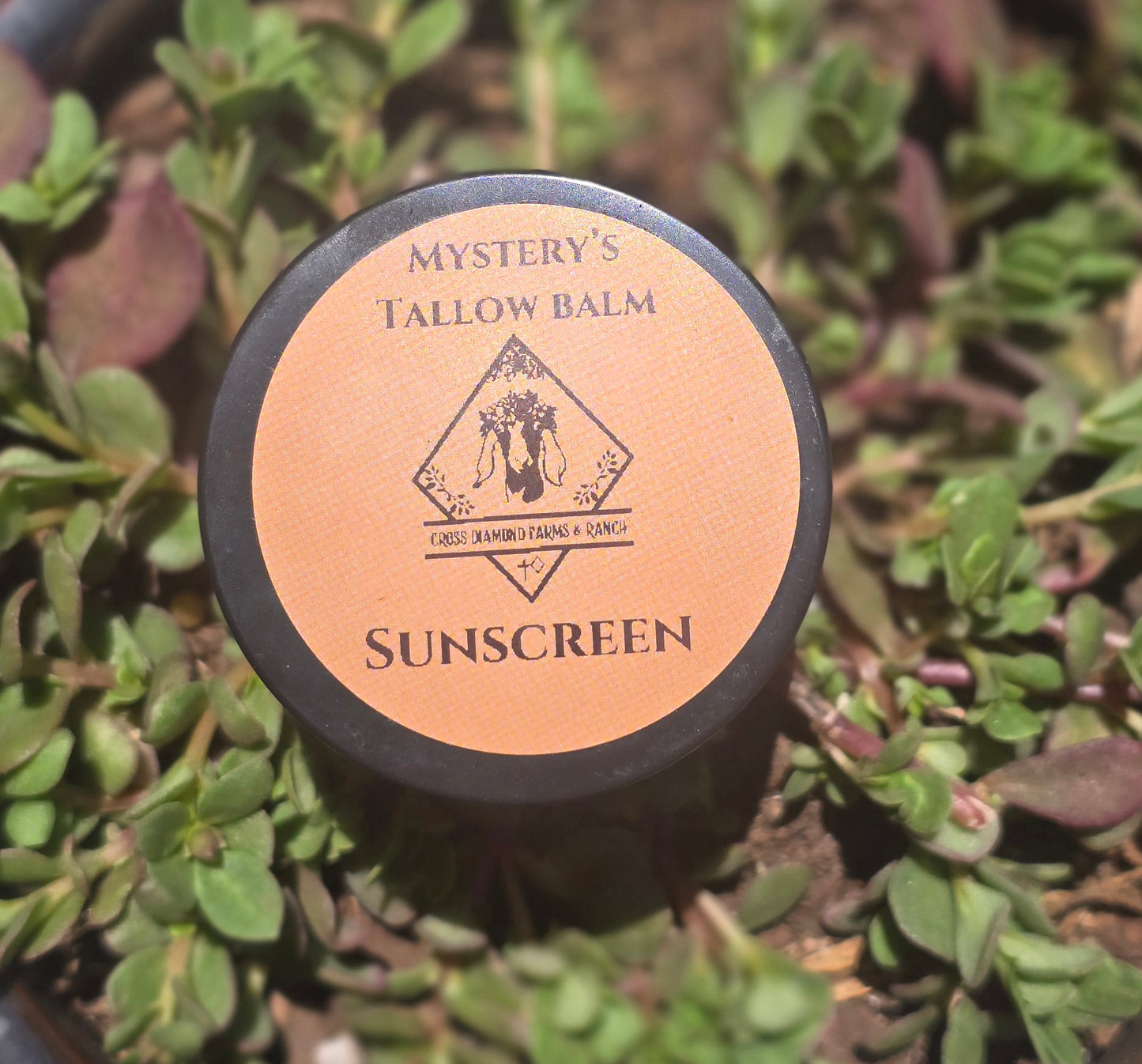 Crunchy Tallow Kit