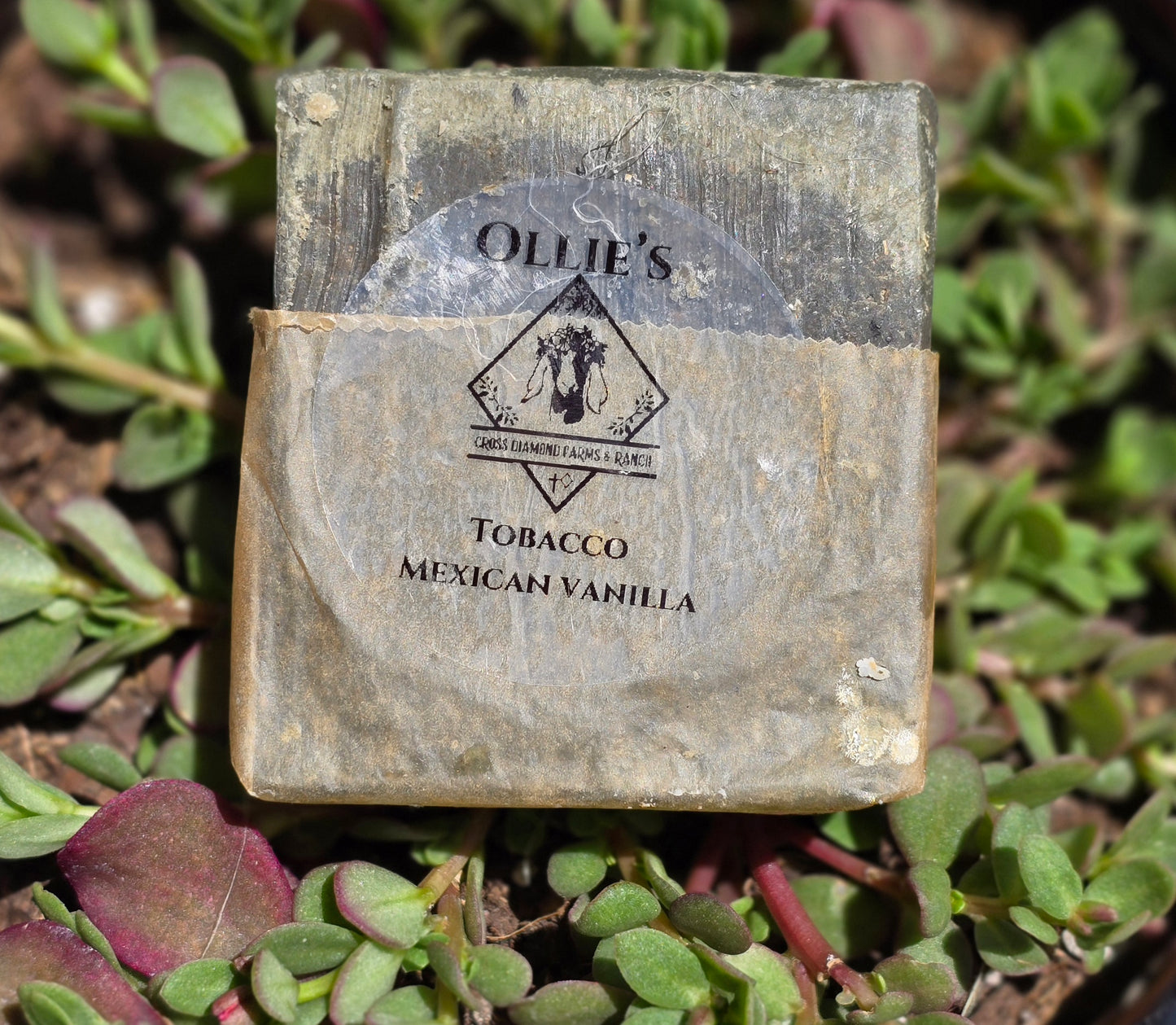 Ollie’s Tobacco and Vanilla