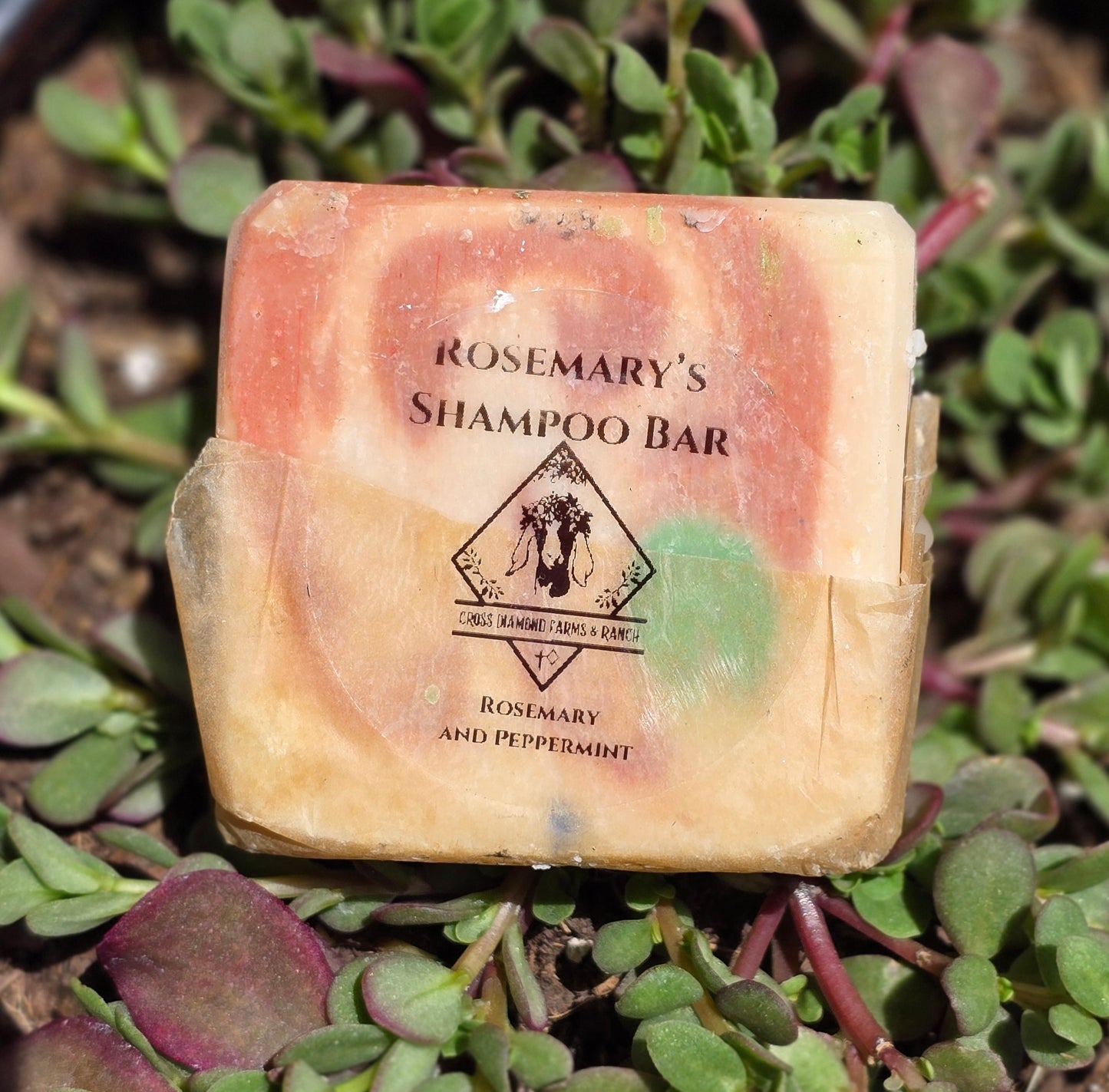Rosemary’s Shampoo Bar peppermint and rosemary