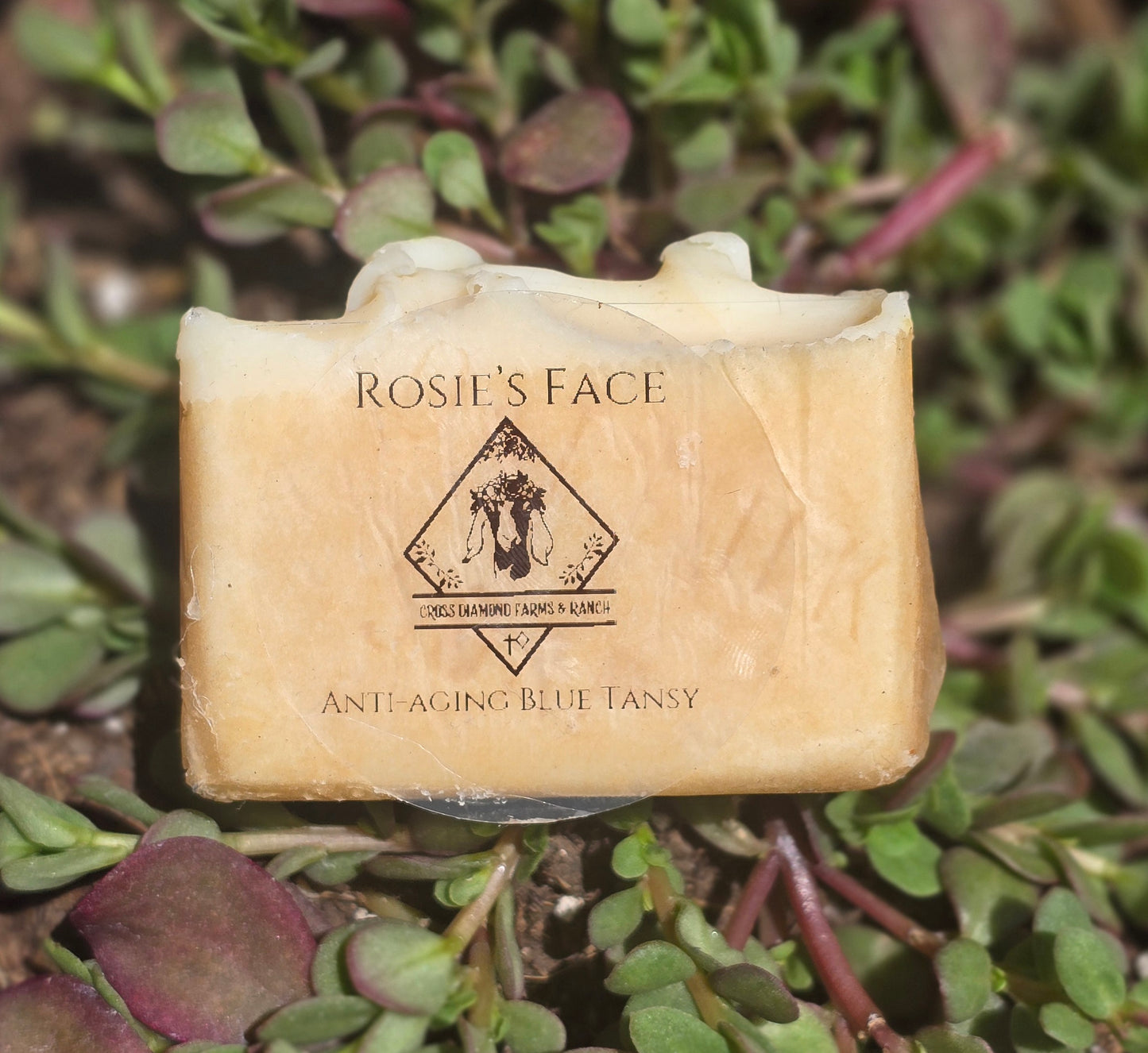 Face Bar Collection