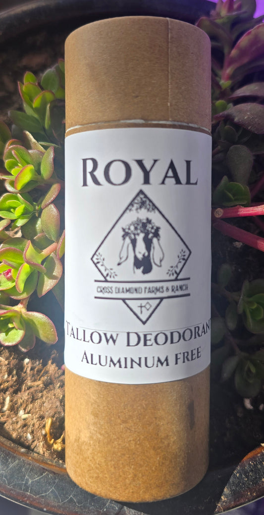 Tallow deodorant