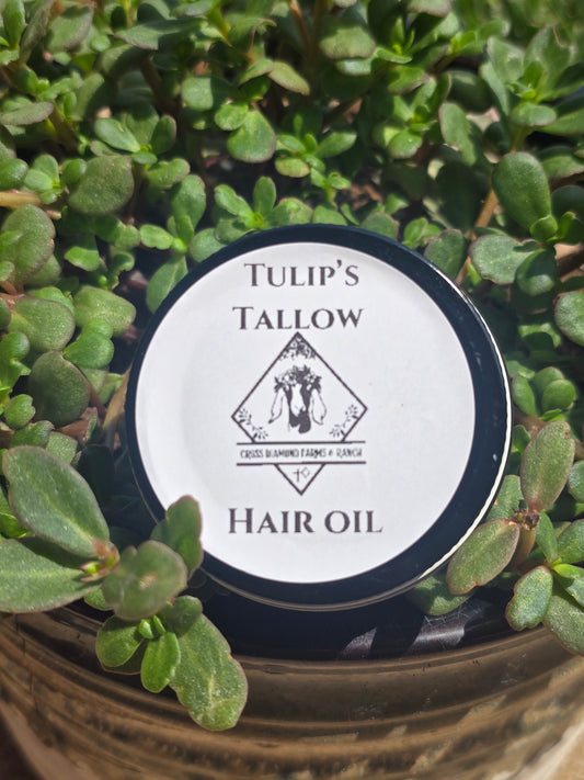 Tulips Tallow Hair Oil