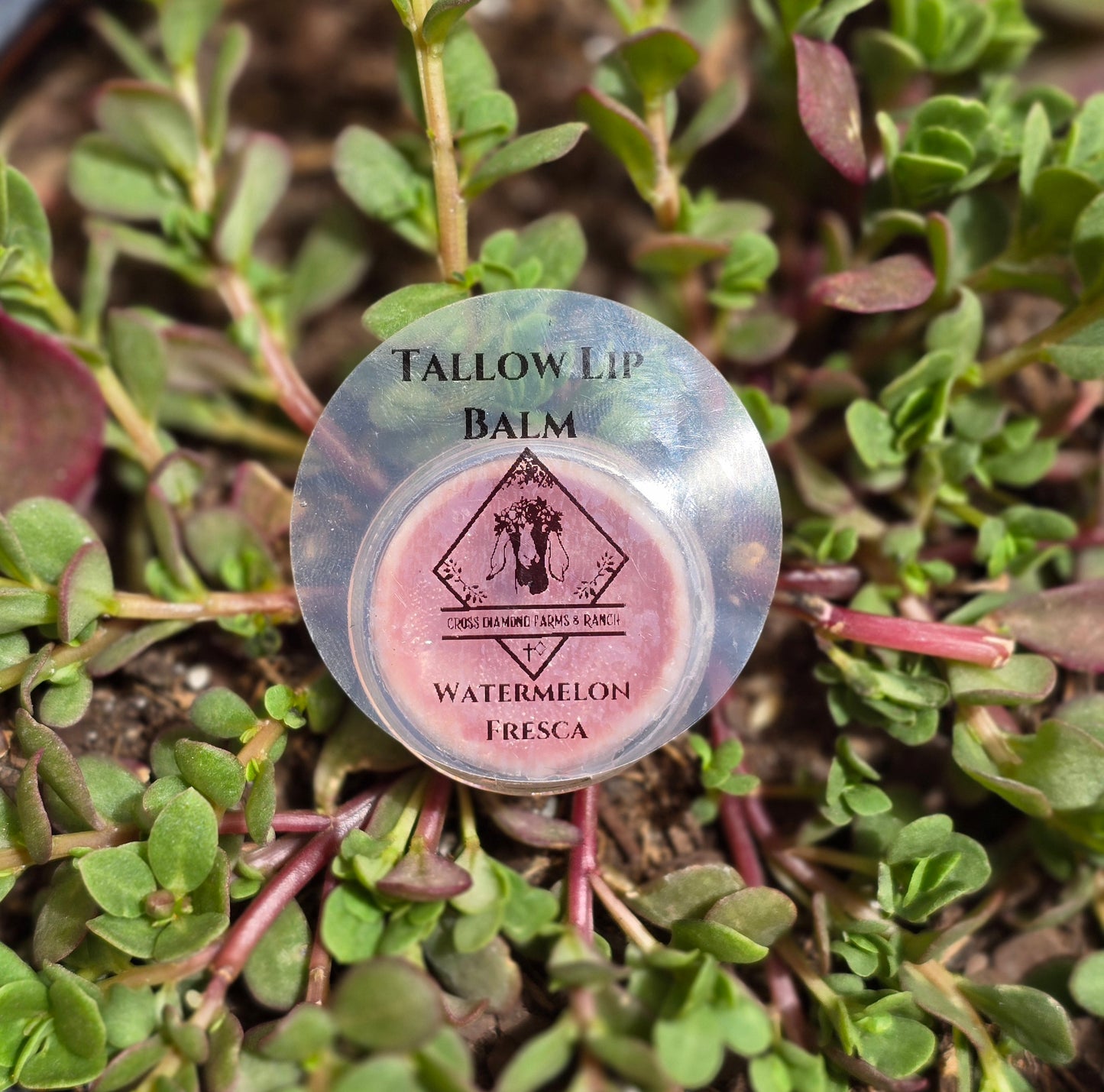 Tallow Lip Balm